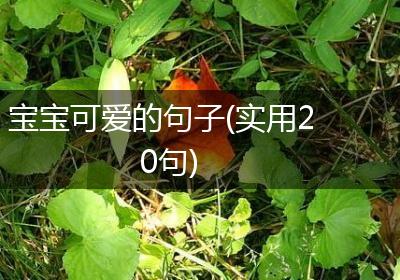宝宝可爱的句子(实用20句)