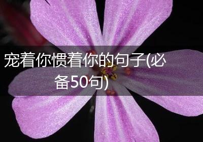 宠着你惯着你的句子(必备50句)