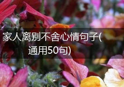 家人离别不舍心情句子(通用50句)