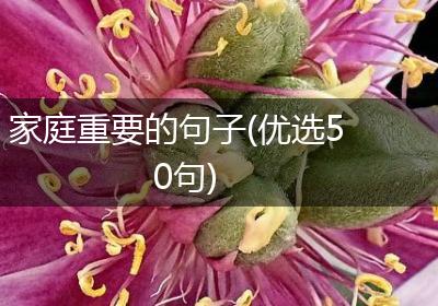 家庭重要的句子(优选50句)