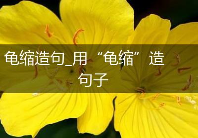 龟缩造句_用“龟缩”造句子