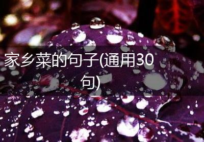 家乡菜的句子(通用30句)