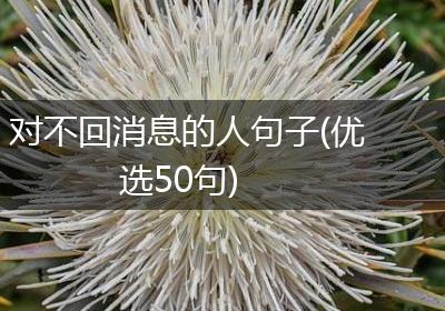 对不回消息的人句子(优选50句)