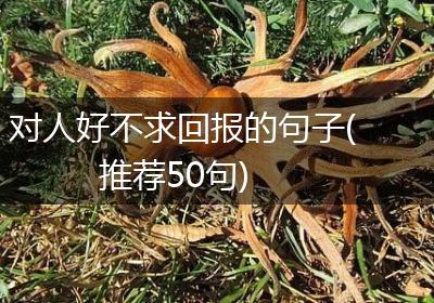 对人好不求回报的句子(推荐50句)