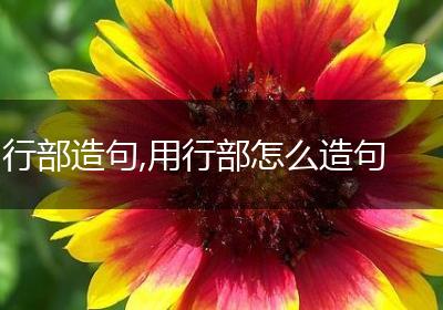 行部造句,用行部怎么造句