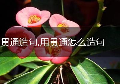 贯通造句,用贯通怎么造句