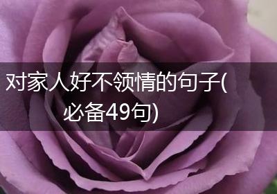对家人好不领情的句子(必备49句)