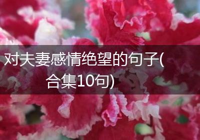 对夫妻感情绝望的句子(合集10句)