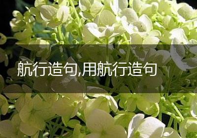 航行造句,用航行造句