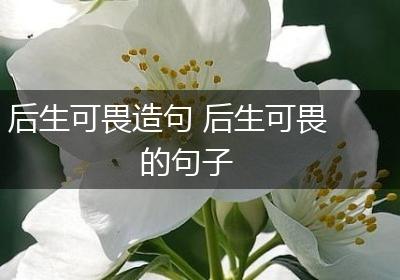 后生可畏造句 后生可畏的句子