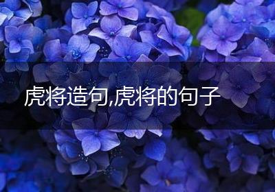 虎将造句,虎将的句子
