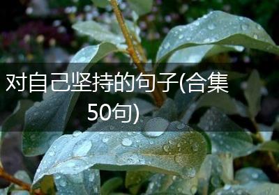对自己坚持的句子(合集50句)