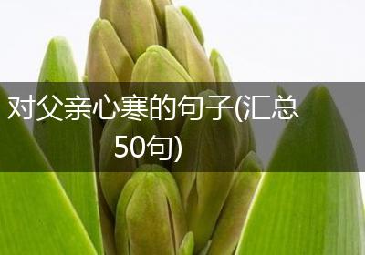 对父亲心寒的句子(汇总50句)