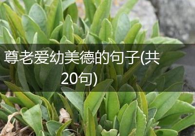 尊老爱幼美德的句子(共20句)