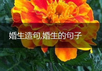婚生造句,婚生的句子
