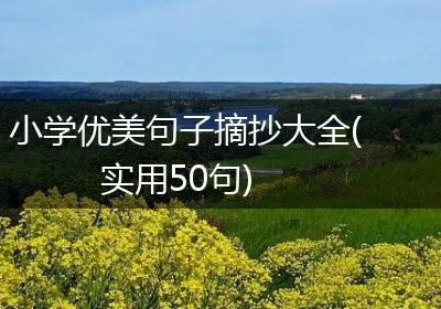 小学优美句子摘抄大全(实用50句)