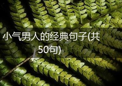 小气男人的经典句子(共50句)