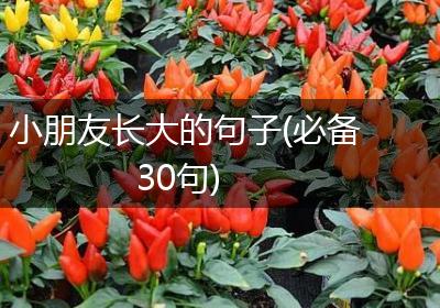 小朋友长大的句子(必备30句)
