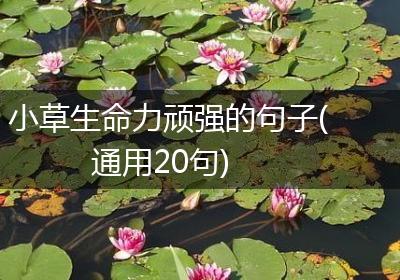 小草生命力顽强的句子(通用20句)