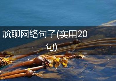 尬聊网络句子(实用20句)
