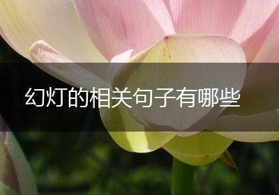 幻灯的相关句子有哪些