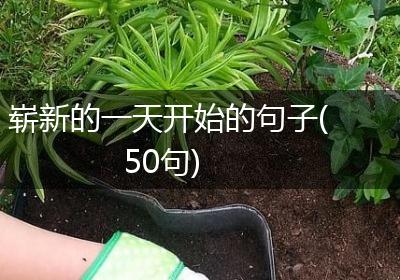 崭新的一天开始的句子(50句)