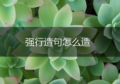 强行造句怎么造