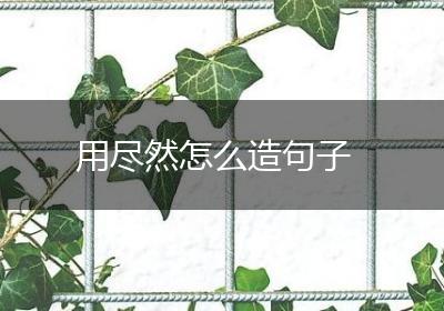 用尽然怎么造句子