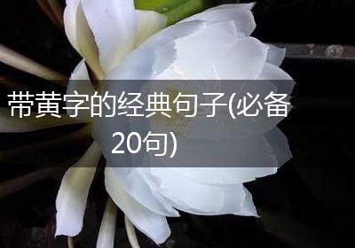 带黄字的经典句子(必备20句)