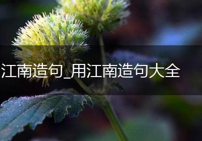 江南造句_用江南造句大全