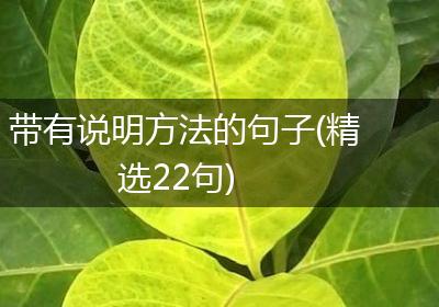 带有说明方法的句子(精选22句)