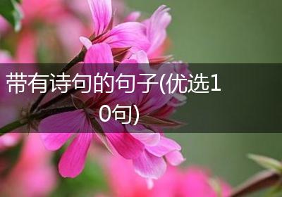 带有诗句的句子(优选10句)