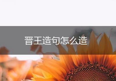 晋王造句怎么造