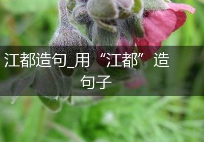 江都造句_用“江都”造句子