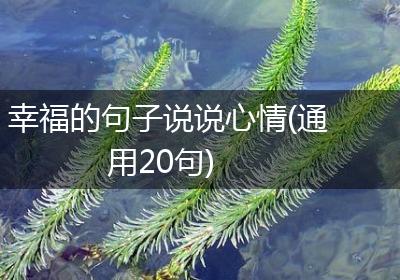 幸福的句子说说心情(通用20句)