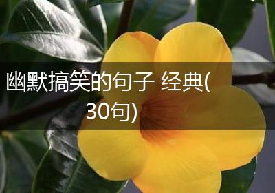 幽默搞笑的句子 经典(30句)