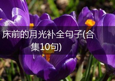 床前的月光补全句子(合集10句)