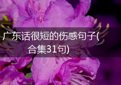 广东话很短的伤感句子(合集31句)