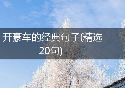 开豪车的经典句子(精选20句)