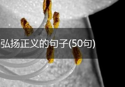 弘扬正义的句子(50句)