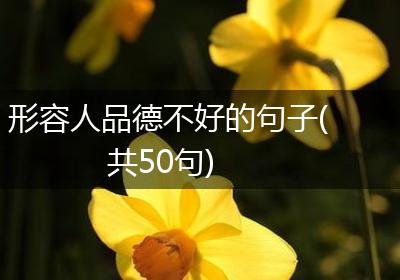 形容人品德不好的句子(共50句)