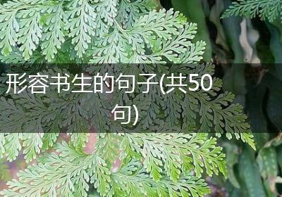 形容书生的句子(共50句)