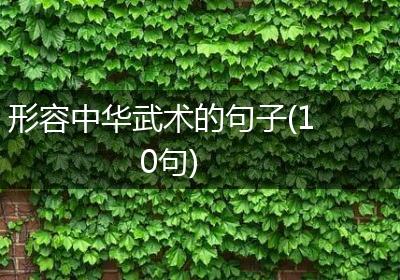 形容中华武术的句子(10句)