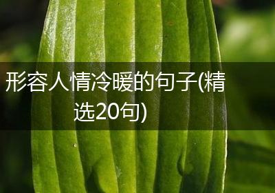 形容人情冷暖的句子(精选20句)