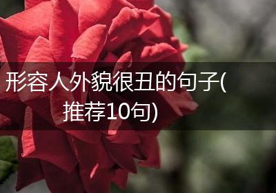 形容人外貌很丑的句子(推荐10句)