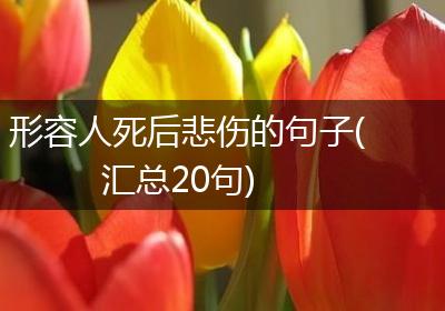 形容人死后悲伤的句子(汇总20句)