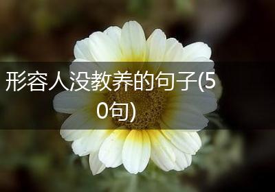 形容人没教养的句子(50句)