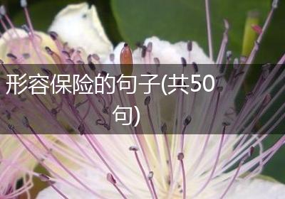 形容保险的句子(共50句)