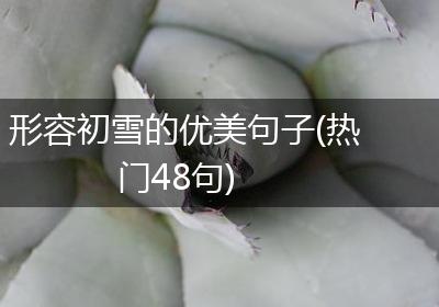 形容初雪的优美句子(热门48句)