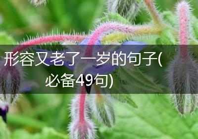 形容又老了一岁的句子(必备49句)